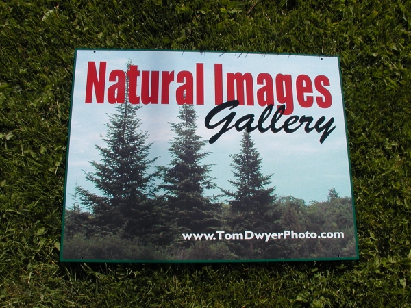 Natural Images Gallery ::  :: 